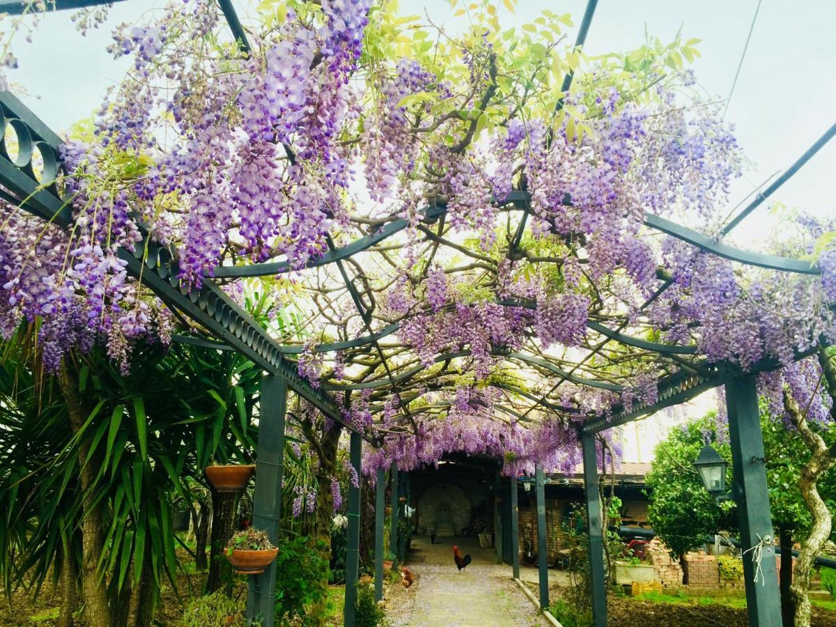 B&B San Paolo 坎帕尼亚 外观 照片